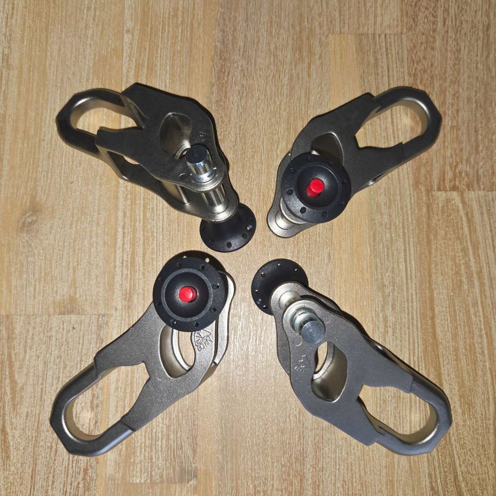 Frog (pack of 4 frog)